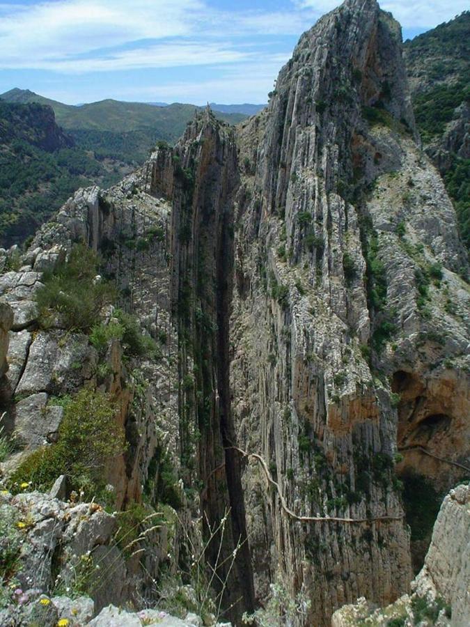 Casa Rural La Teja 엘 초로 외부 사진