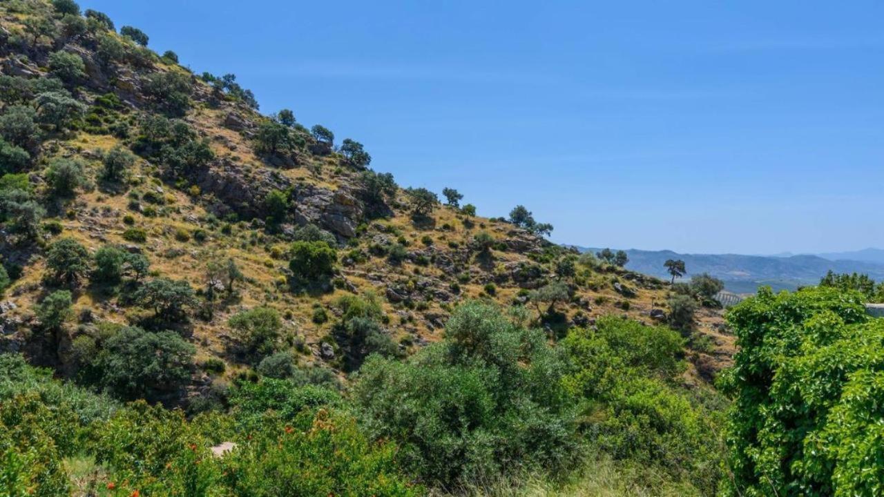 Casa Rural La Teja 엘 초로 외부 사진